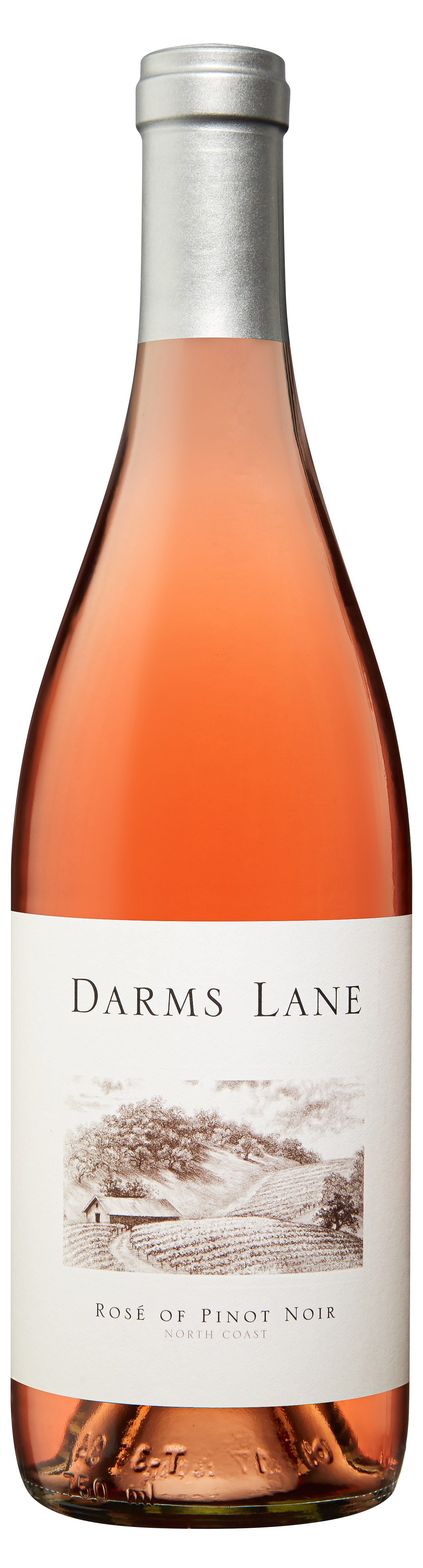 Product Image for 2021 Rose of Pinot Noir